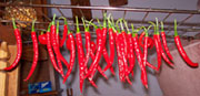 Séchage piments