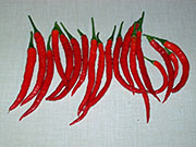 Récolte 2009