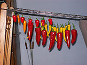 Séchage piments