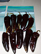 Séchage piments