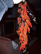 Séchage piments