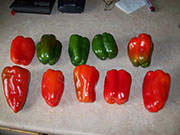 Piment doux