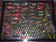 Séchage piments