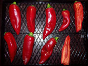 Séchage piments