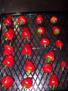 Séchage piments