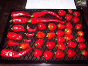 Séchage piments