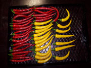 Séchage piments