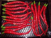Séchage piments
