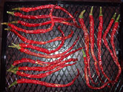 Séchage piments