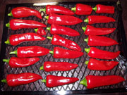 Séchage piments