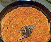 Broyage piments
