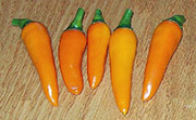Récolte 2012