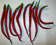Récolte 2012