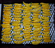 Séchage piments
