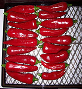 Séchage piments