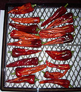 Séchage piments