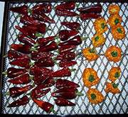 Séchage piments