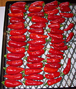 Séchage piments
