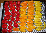 Séchage piments