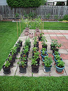 pots