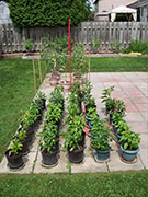 pots