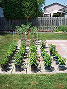 pots