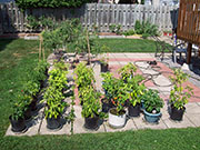 pots