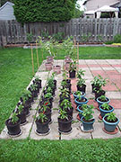 pots