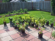 pots