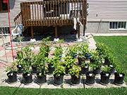 pots