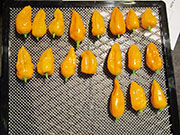 Séchage piments