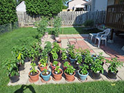 pots