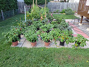 pots
