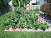pots
