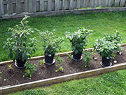 pots
