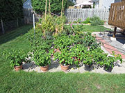 pots