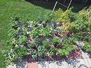 pots