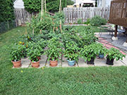 pots