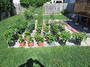 pots