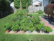pots