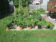 pots