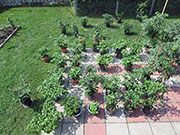 pots