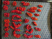 Séchage piments