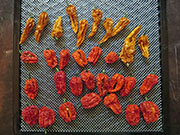 Séchage piments