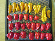 Séchage piments