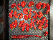 Séchage piments