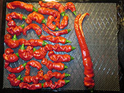 Séchage piments