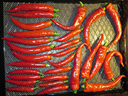 Séchage piments
