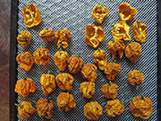 Séchage piments