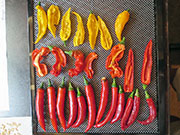 Séchage piments